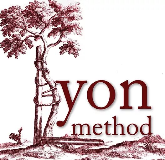 Lyon
